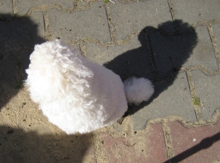 ... a s vlastním stínem... 